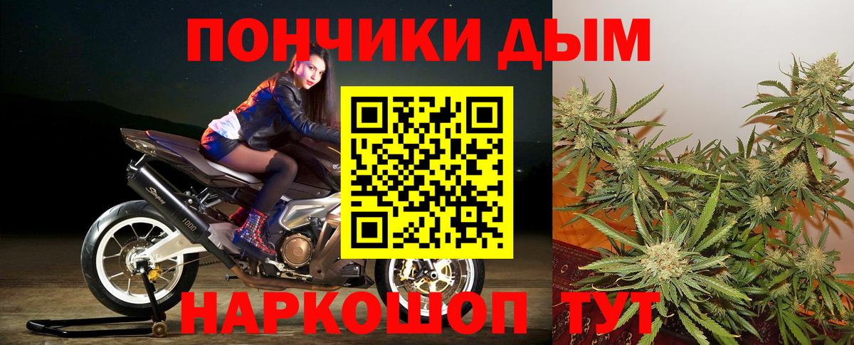 Бошки Шишки Bruce Banner  МАРИХУАНА индика  Марихуана THC 21%  Марихуана White Widow  Моршанск  Вход с VPN 